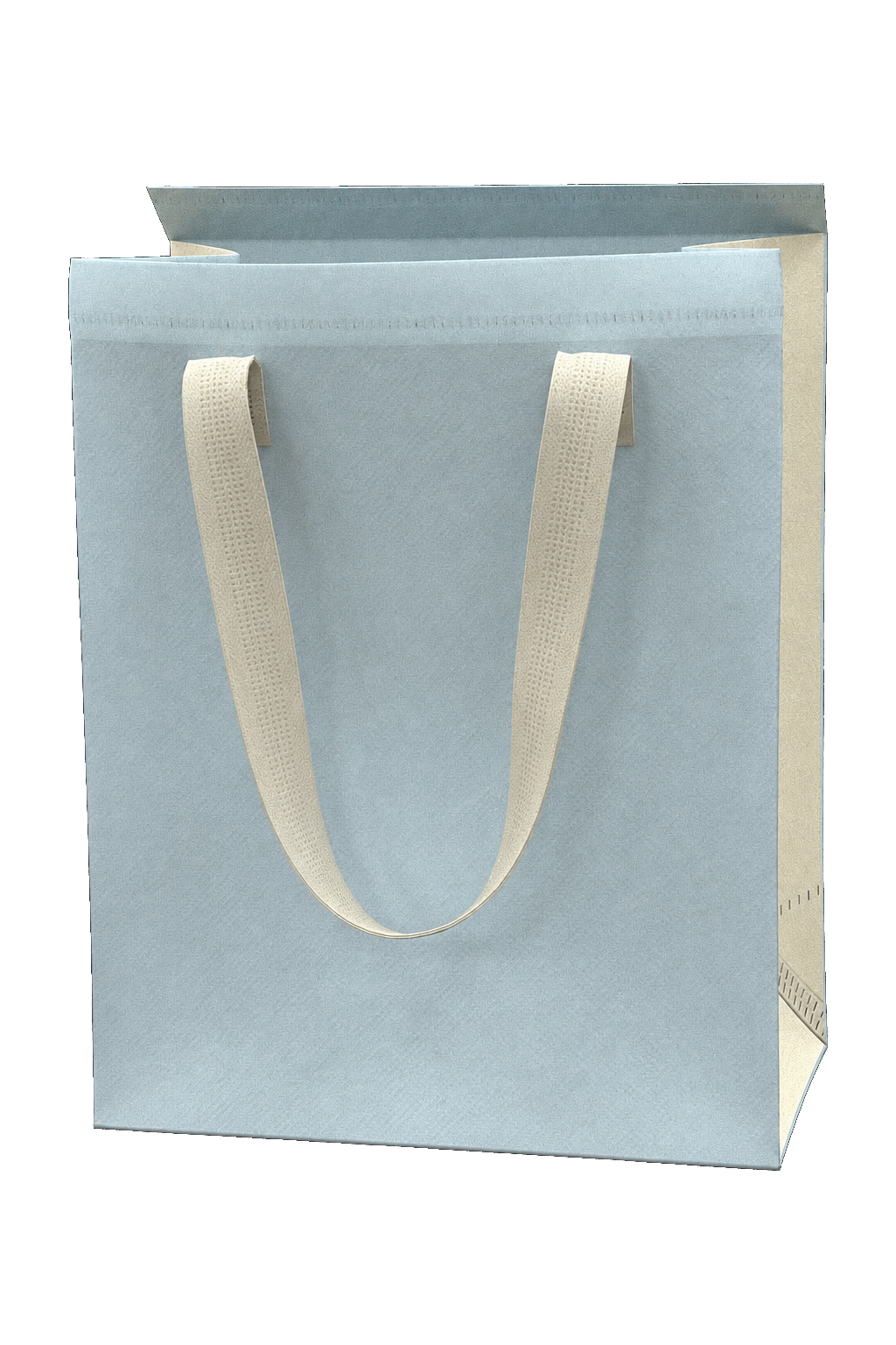 Paper bag